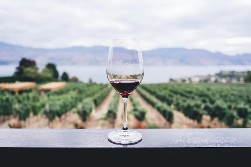 Explore a Wine Estate in Yarra Valley